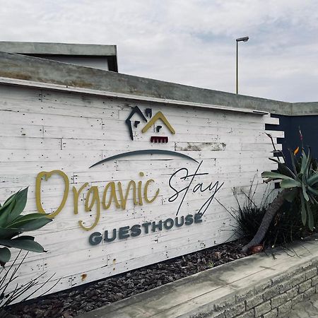 Organic Stay Guesthouse Swakopmund Dış mekan fotoğraf