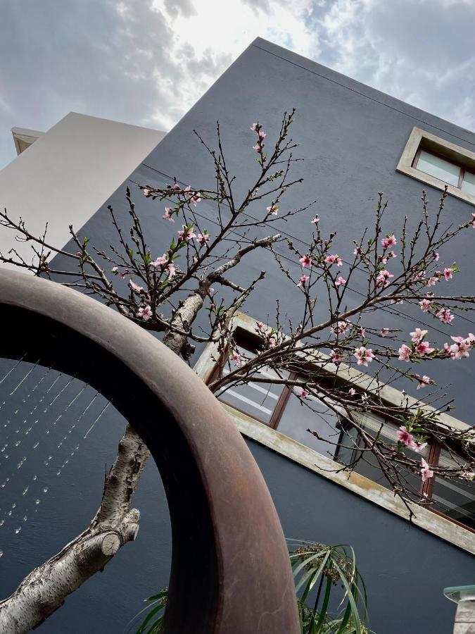 Organic Stay Guesthouse Swakopmund Dış mekan fotoğraf