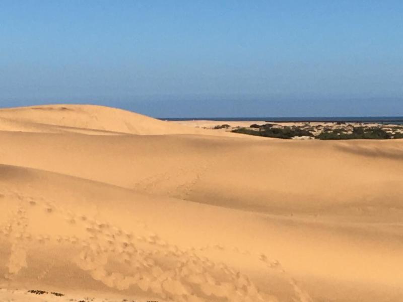 Organic Stay Guesthouse Swakopmund Dış mekan fotoğraf